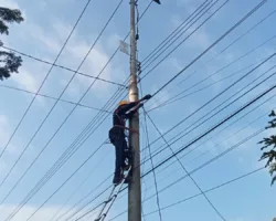 Dukung Layanan Konektivitas, PLN Icon Plus Lakukan Pemeliharaan Jaringan Fiber Optik di Kota Padang