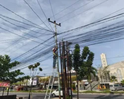 Tingkatkan Kualitas Layanan, PLN Icon Plus Lakukan Pemeliharaan Jaringan Fiber Optik di Rumbai Pesisir, Kota Pekanbaru