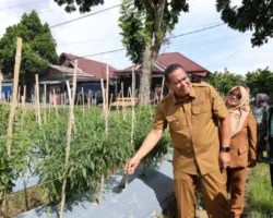 Walikota Yota Balad Ajak Masyarakat Manfaatkan Lahan Tidur Agar Produktif