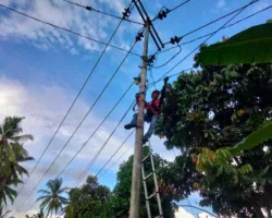 Dukung Konektivitas Stabil, PLN Icon Plus Lakukan Pemeliharaan Jaringan Fiber Optik di Lubuk Alung