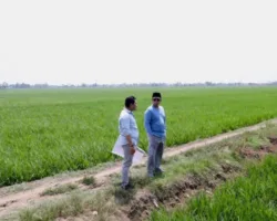 Tinjau Kawasan Industri di Indramayu, Menteri Nusron Pastikan Lahan Tidak Masuk ke LSD