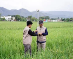 Antisipasi Penumpukan Berkas, ATR/BPN Uji Coba Layanan Pengukuran Terjadwal di 38 Kantor Pertanahan