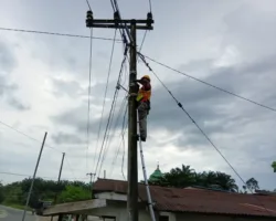 Perkuat Layanan Internet, PLN Icon Plus Lakukan Pemeliharaan Jaringan Fiber Optik di Kampar