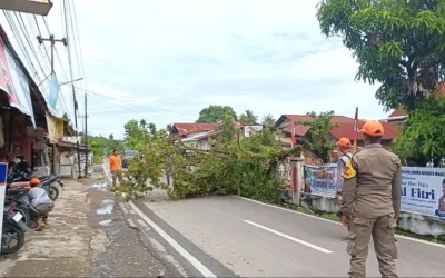 Cegah Risiko Pohon Tumbang, Tim Rescue Satlinmas Satpol PP Padang Lakukan Penebangan di TK Alya Zahira