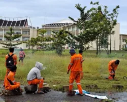 Jaga Estetika Pusat Pemerintahan, Petugas DLH Kota Padang Rutin Lakukan Pemeliharaan Taman