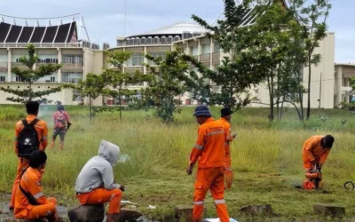 Jaga Estetika Pusat Pemerintahan, Petugas DLH Kota Padang Rutin Lakukan Pemeliharaan Taman