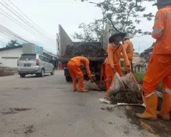 DLH Padang Rapikan Taman Jalan Raya Indarung, Warga Diminta Stop Buang Sampah Sembarangan