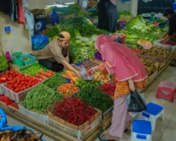 Pasokan Meningkat, Harga Cabai di Padang Panjang Turun Signifikan