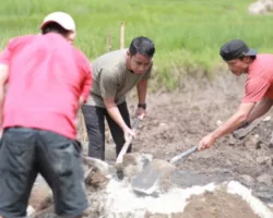 Wako Solok Turun Langsung Goro Bangun Kembali Rumah Warga Terdampak Kebakaran