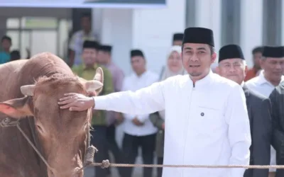 Pemerintah Kota Solok Serahkan Bantuan Sapi Kurban kepada Pengurus Masjid Istiqamah