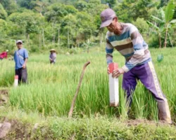 Pasang Patok, Cara Sederhana Cegah Sengketa Tanah dengan Tetangga