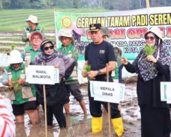 Payakumbuh Dukung Gerakan Tanam Serentak 50 Ribu Hektare untuk Perkuat Swasembada Pangan