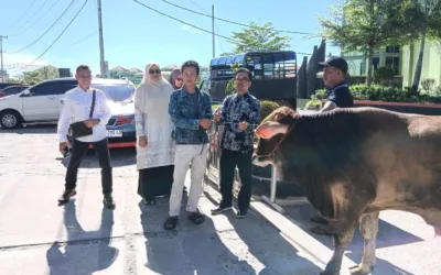 Kelompok Peserta Qurban UIN Bukittinggi Serahkan Sapi Qurban untuk Masyarakat Malalak Barat