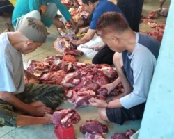 Semangat Berkurban Meningkat, Masjid Jamiathul Khairat Sembelih Tujuh Sapi dan Empat Kambing