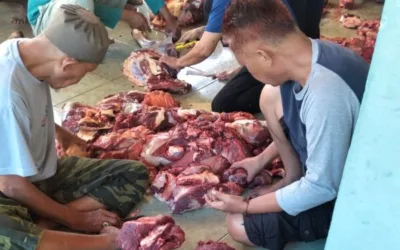 Semangat Berkurban Meningkat, Masjid Jamiathul Khairat Sembelih Tujuh Sapi dan Empat Kambing