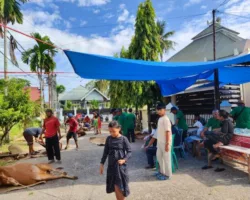 Semangat Gotong Royong Warnai Penyembelihan Hewan Kurban di Mushalla Nurul Yaqin Taruko II
