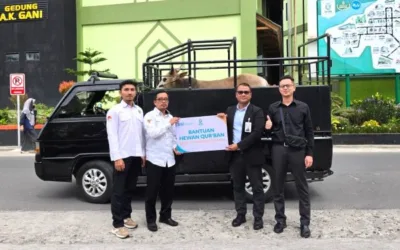 Melalui Program Kepeduliaan Sosial, BSI Serahkan Sapi Qurban kepada UIN Sjech M. Djamil Djambek Bukittinggi