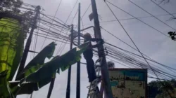 Pastikan Jaringan Telekomunikasi Tetap Prima, PLN Icon Plus Lakukan Pemeliharaan Jaringan Fiber Optik di Koto Tangah