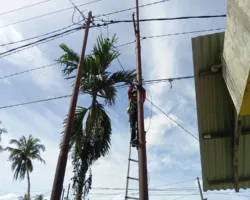 Pastikan Konektivitas Tetap Stabil, PLN Icon Plus Lakukan Perapian Kabel Fiber Optic di Talawi Sawahlunto