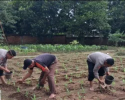 Benih Harapan di Tanah Pancawati, Saat Sinergi Menyemai Masa Depan Ketahanan Pangan Polda Jawa Barat