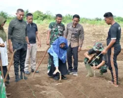 Dukung Ketahanan Pangan, Ketua TP-PKK Agam Kunjungi Kawasan Pertanian Batalyon Infanteri TP 897 Singgalang