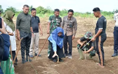 Dukung Ketahanan Pangan, Ketua TP-PKK Agam Kunjungi Kawasan Pertanian Batalyon Infanteri TP 897 Singgalang