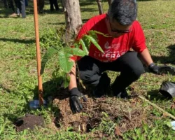 Sekjen Kementerian Luar Negeri Lakukan Penanaman Pohon IMLF-4 di Tabing Barasok