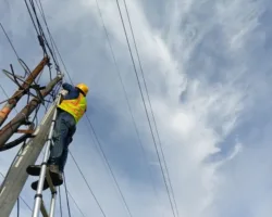 Tingkatkan Stabilitas Layanan Telekomunikasi, PLN Icon Plus Lakukan Pemeliharaan Jaringan Fiber Optik di Minas Barat