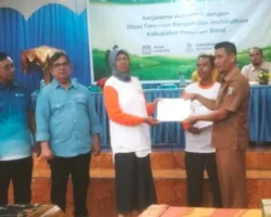 Petani Pasaman Barat Ikuti Pelatihan Bersama Alisther dan DTPH