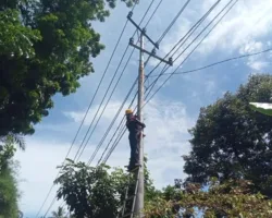 Optimalisasi Infrastruktur Telekomunikasi, PLN Icon Plus Lakukan Pemeliharaan Jaringan Fiber Optic di Jalur Padang–Painan