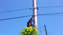 Perkuat Keandalan Infrastruktur Telekomunikasi, PLN Icon Plus Lakukan Pemeliharaan Jaringan Fiber Optik di Jalur Teluk Kabung Utara