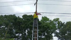 Jaga Keandalan Layanan Internet, PLN Icon Plus Lakukan Penertiban Jalur Kabel Fiber Optik di Kota Pekanbaru