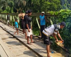 Pemkab Dharmasraya Lakukan Perbaikan Jembatan Mamora di Nagari Ranah Palabi