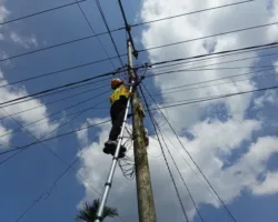 Perkuat Infrastruktur Telekomunikasi, PLN Icon Plus Lakukan Pemeliharaan Jaringan Fiber Optik di Dumai