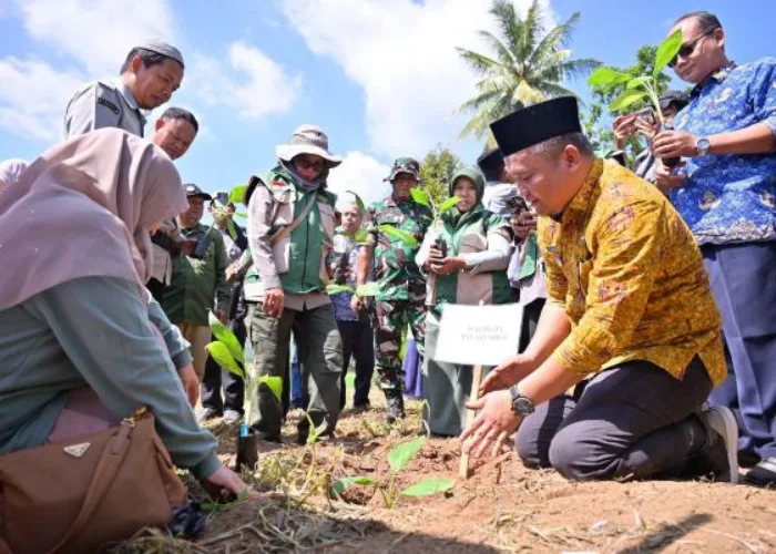 Pemko Payakumbuh Tanam 3.000 Bibit Pisang untuk Perkuat Pasokan Buah Lokal Program MBG
