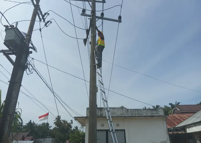 Jaga Kualitas Layanan Telekomunikasi, PLN Icon Plus Lakukan Perapian Jalur Fiber Optik di Pesisir Selatan