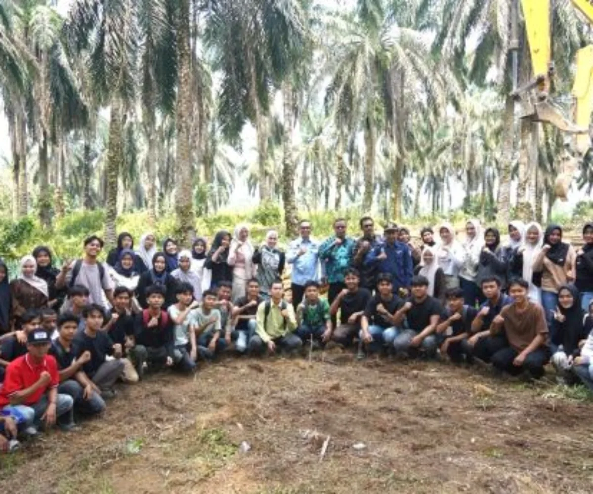 Sekda Medison Saksikan Tumbang Chipping Peremajaan Sawit Rakyat III di KUD Lubuk Karya