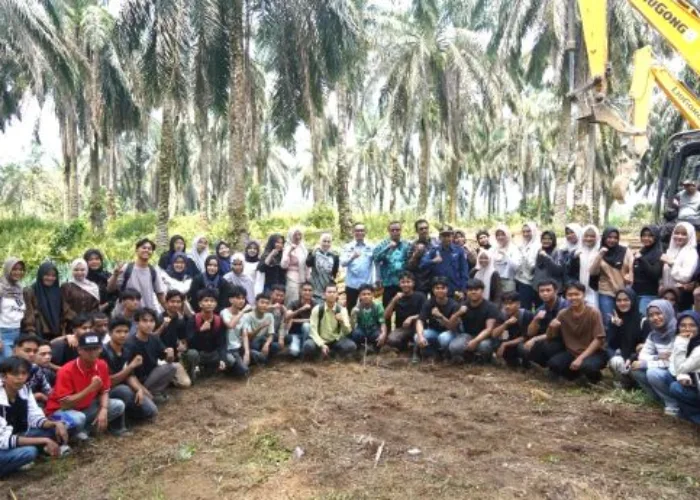 Sekda Medison Saksikan Tumbang Chipping Peremajaan Sawit Rakyat III di KUD Lubuk Karya