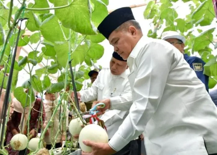 Bupati Agam Dorong Pertanian Modern untuk Tingkatkan Produktivitas dan Minat Generasi Muda