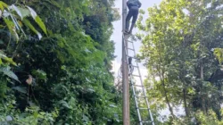 Jaga Stabilitas Layanan Telekomunikasi, PLN Icon Plus Lakukan Pemeliharaan Jaringan Fiber Optik di Tanjung Sani