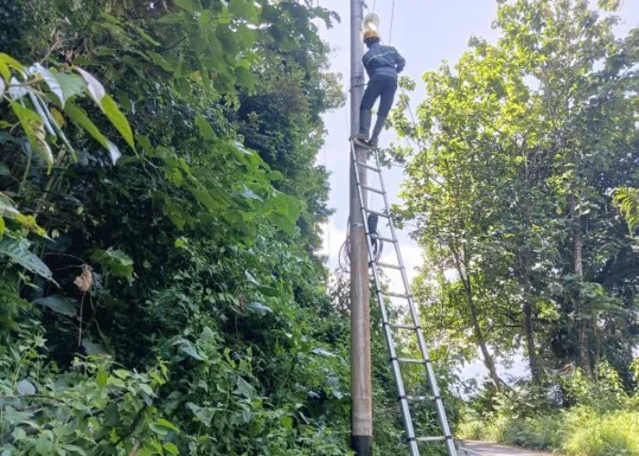 Jaga Stabilitas Layanan Telekomunikasi, PLN Icon Plus Lakukan Pemeliharaan Jaringan Fiber Optik di Tanjung Sani