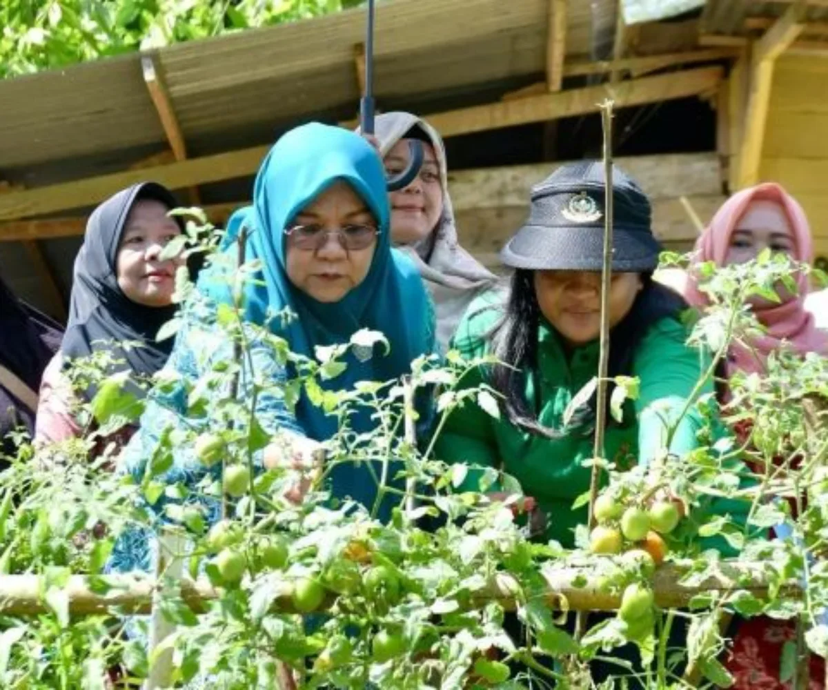Bupati Agam Dukung Pemanfaatan Lahan Pekarangan sebagai Sumber Ketahanan Pangan Keluarga
