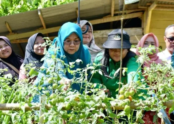Bupati Agam Dukung Pemanfaatan Lahan Pekarangan sebagai Sumber Ketahanan Pangan Keluarga