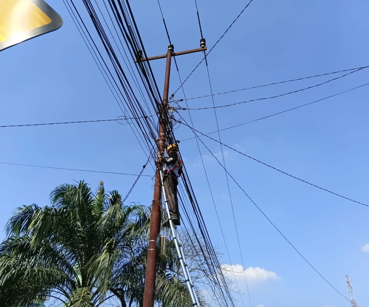 Perkuat Pengelolaan Aset Jaringan, PLN Icon Plus Lakukan Pemeliharaan Rutin di Rokan Hulu