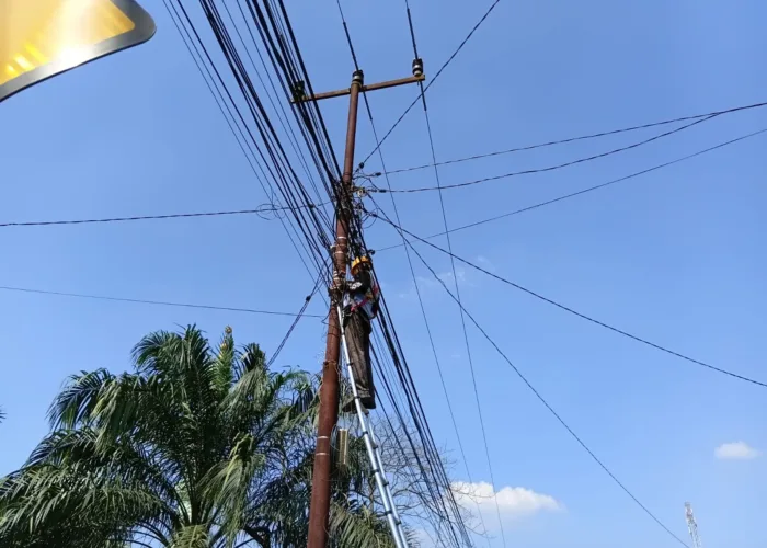 Perkuat Pengelolaan Aset Jaringan, PLN Icon Plus Lakukan Pemeliharaan Rutin di Rokan Hulu