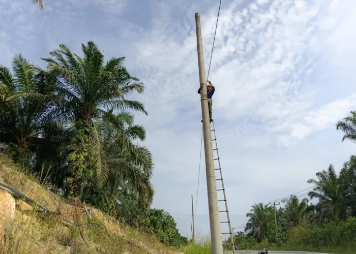Dukung Layanan Telekomunikasi Andal, PLN Icon Plus Lakukan Pemeliharaan Jaringan Fiber Optik di Wilayah Seminai