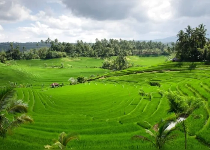 Lampaui Target, LP2B Capai 87,63% diMomen Peringatan 66 Tahun UUPA