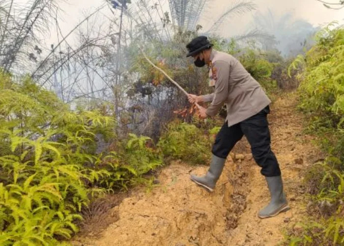 Kapolres Dharmasraya Tinjau Lokasi Karhutla di Timpeh, Imbau Masyarakat Tidak Membakar Lahan