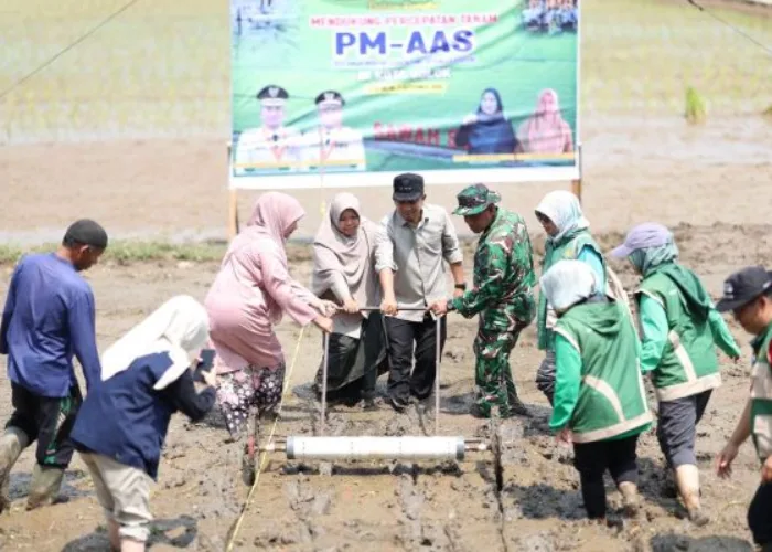Wali Kota Solok Dukung Penerapan Pertanian Modern