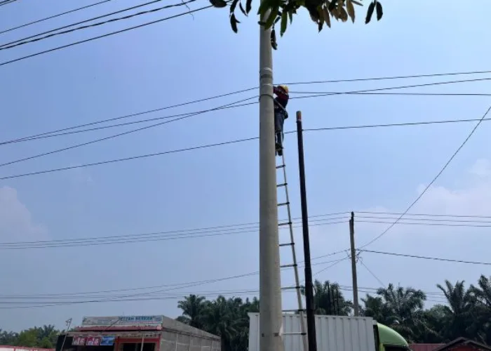 Jaga Ketertiban Infrastruktur Jaringan, PLN Icon Plus Lakukan Pemeliharaan Jaringan Fiber Optik di Jalur Lintas Timur Jambi–Riau